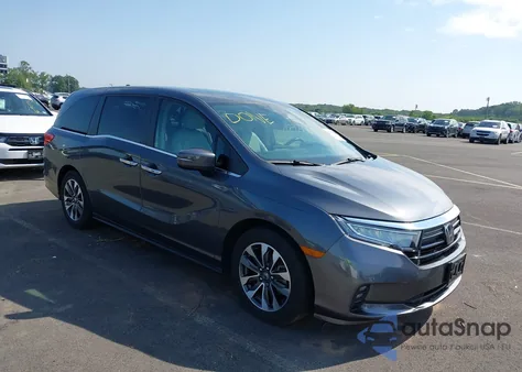 2023 Honda Odyssey Ex-L из США, поврежденный, VIN 5FNRL6H65PB050298